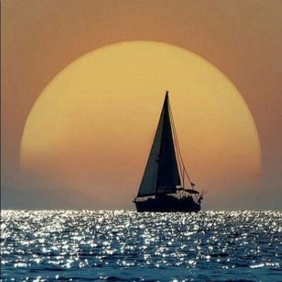 Meet your Posher, Liza - Picture 1 of 1